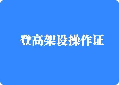 肏逼逼逼逼黄干逼searchxnxx登高架设操作证